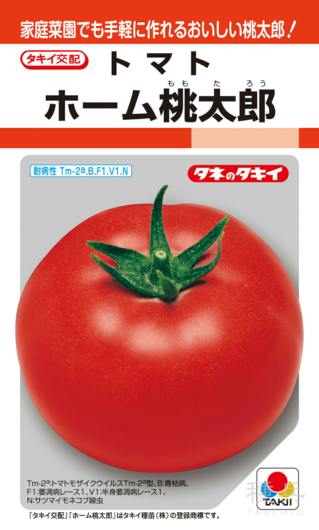 トマト 種<br> 『CF桃太郎ヨーク』 ATM01M タキイ種苗/ペレット2L1000粒 トマト種子CF桃太郎ヨーク_1000粒 | 株式会社PsEco（ピーエスエコ）