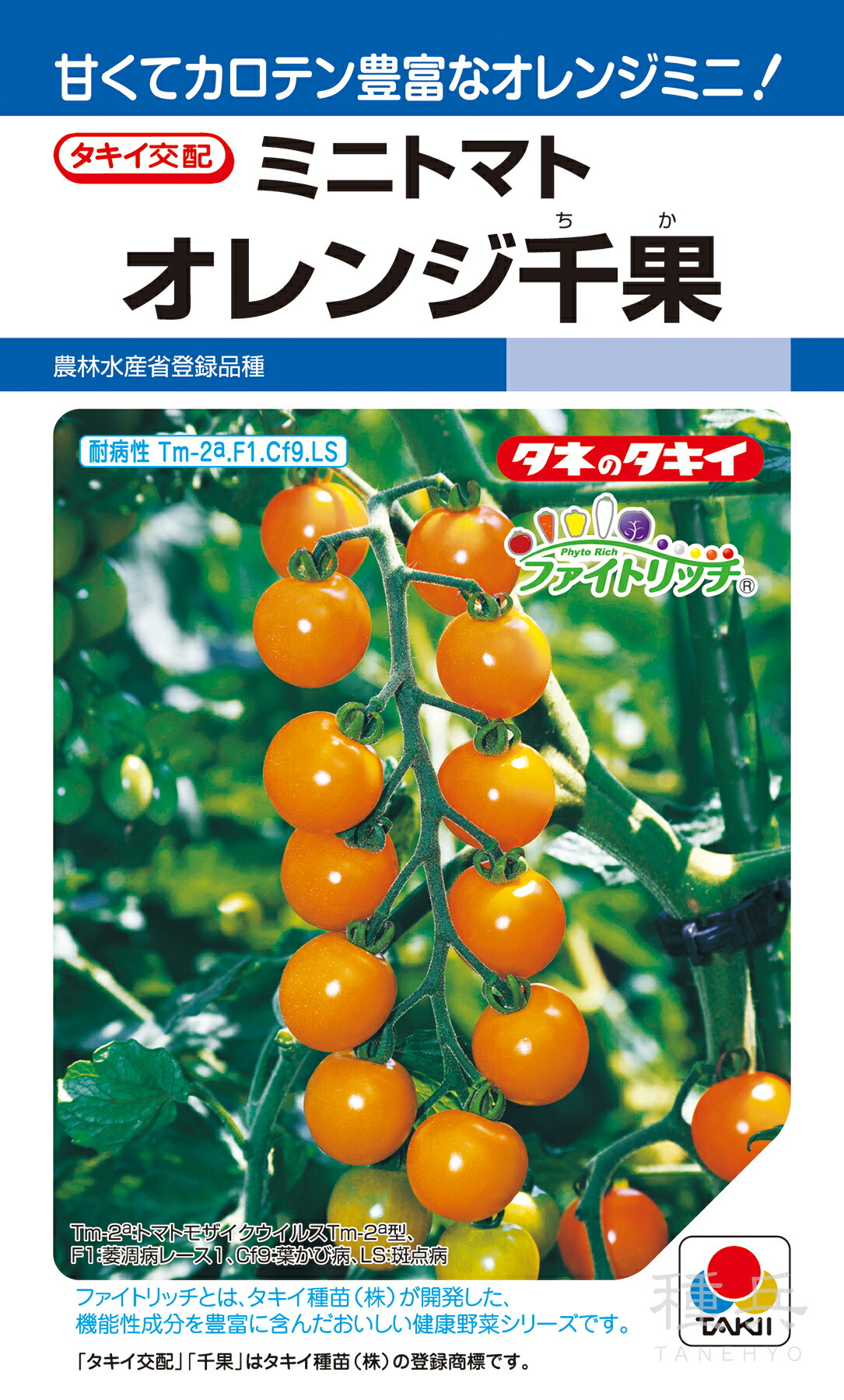 トマト師匠★ エムソン企画のトマト苗「坂本さんのフルーツトマト」9cmポット