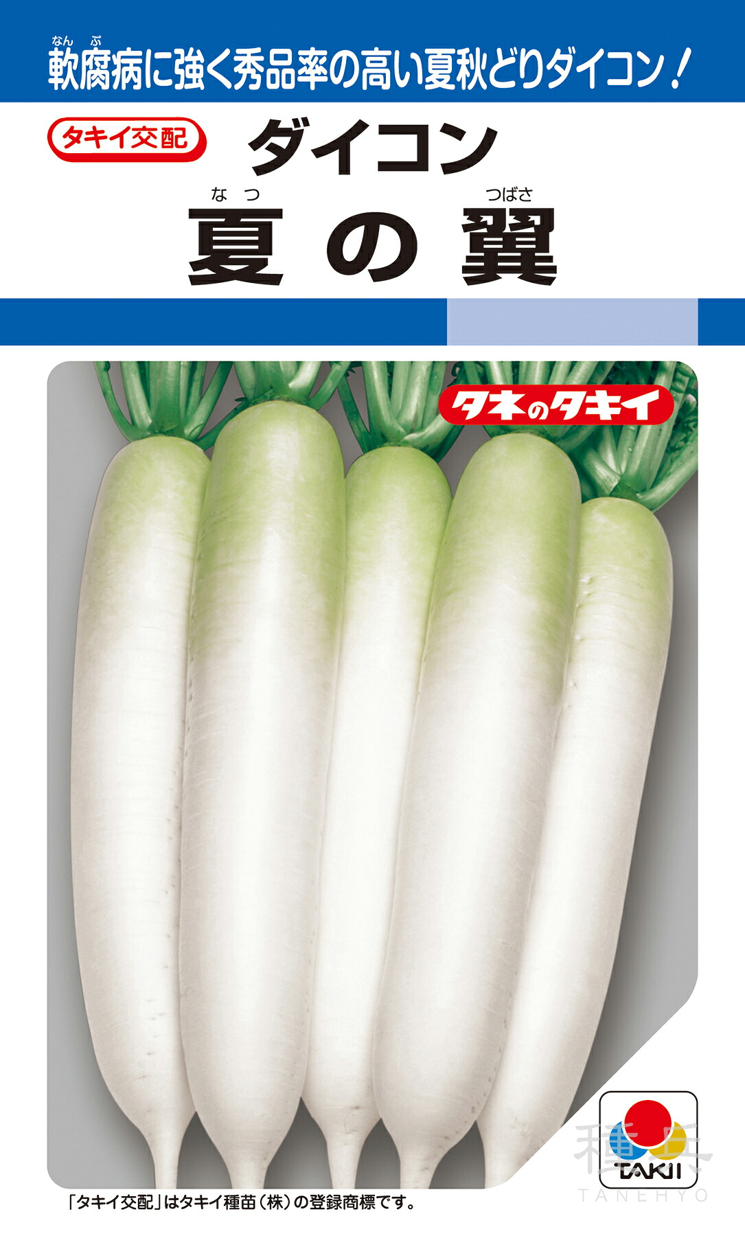 夏秋どり清白 種 『夏の翼』 ADA06K タキイ種苗