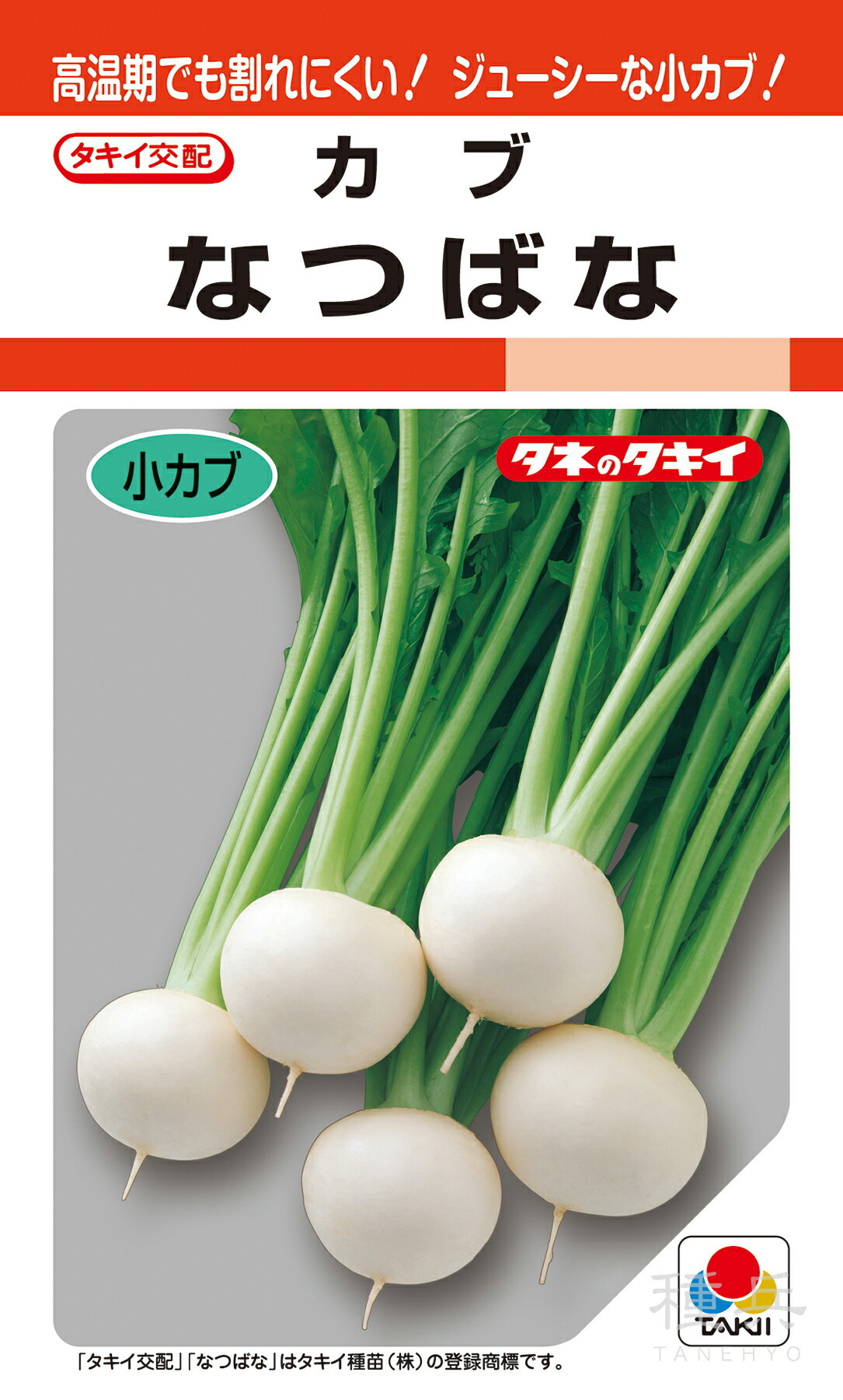 小小僧 種 『なつばな』 AKA058 タキイ種苗