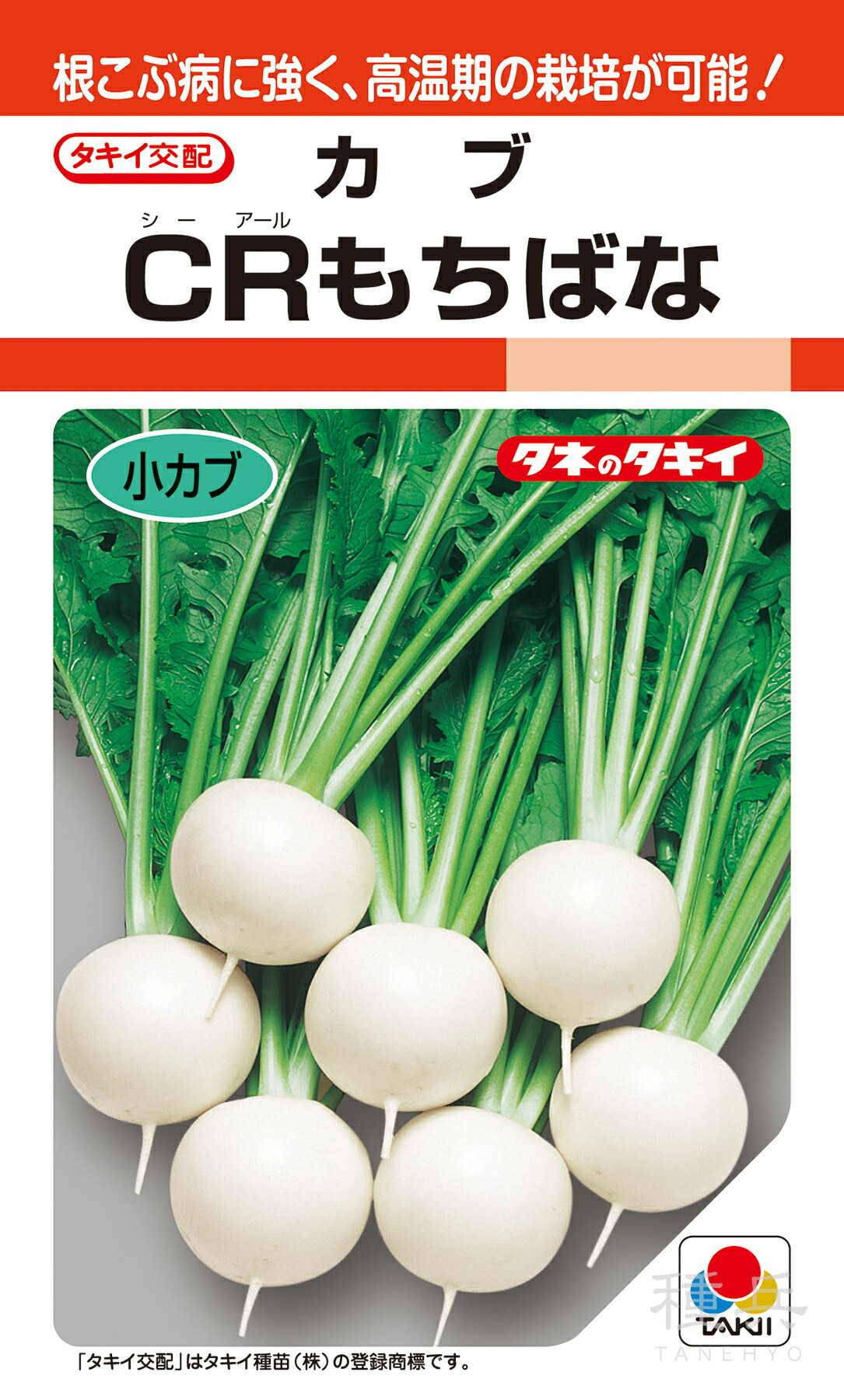 小カブ 種 『CRもちばな』 AKA023 タキイ種苗