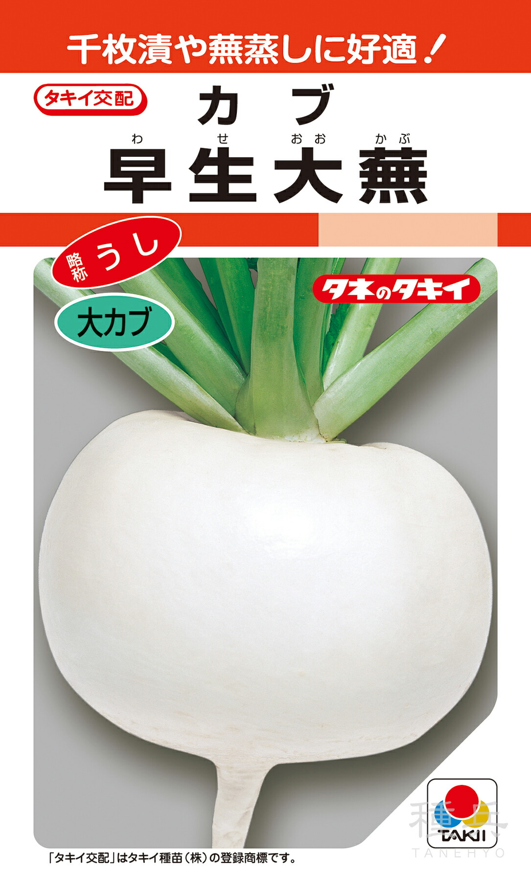 楽天市場】コマツナ 種 『真夏の四番打者』 トキタ種苗 : 種兵ネット