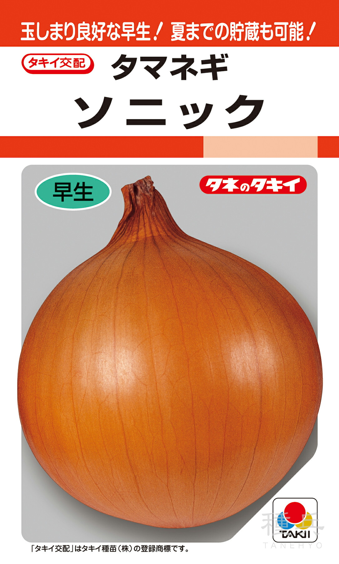 タマネギ 楽天市場】野菜種子 タマネギ「ソニック」 2Lペレット200粒／2L