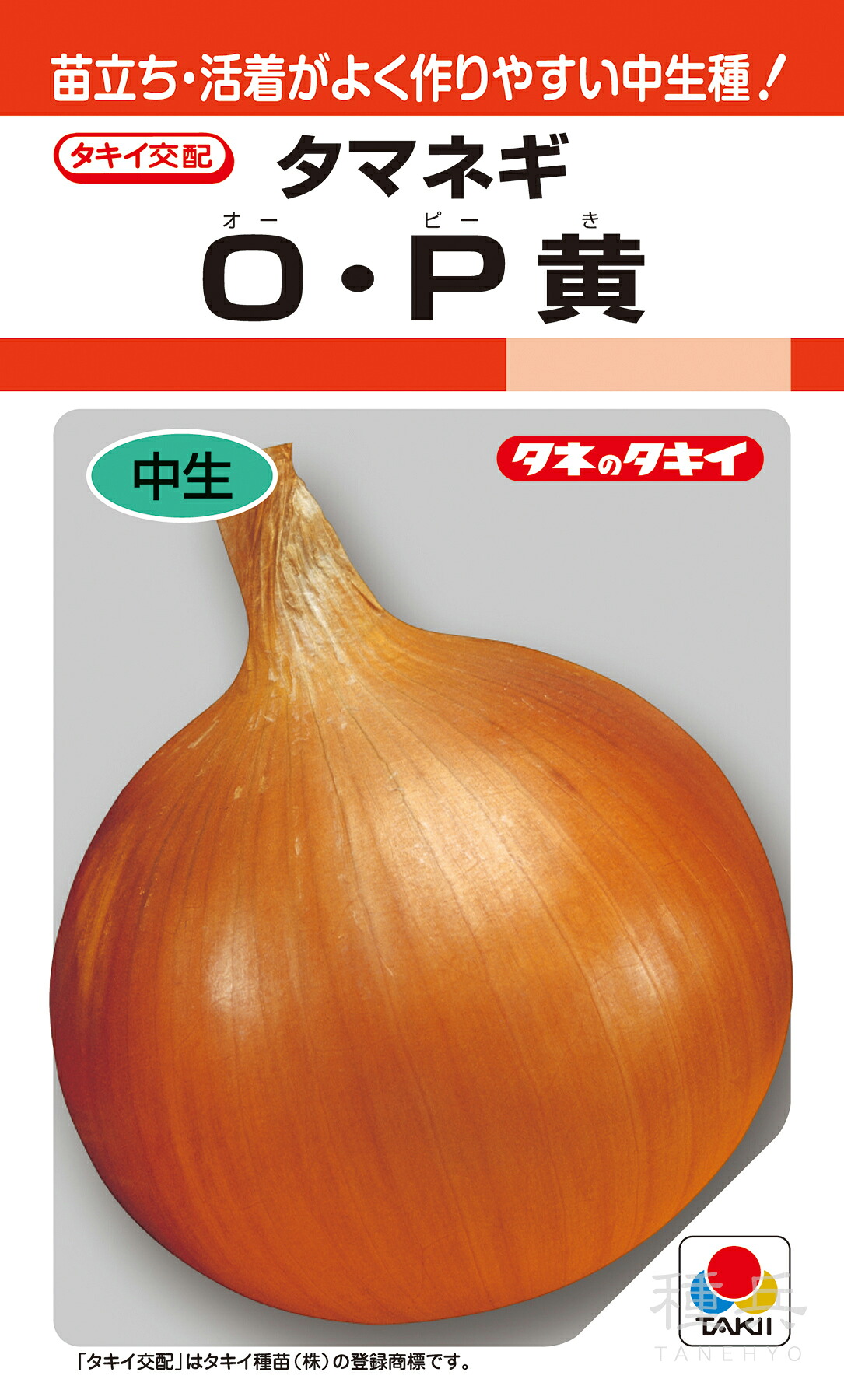 中生種玉ねぎ 種 『O・P黄』 ATA022 タキイ種苗