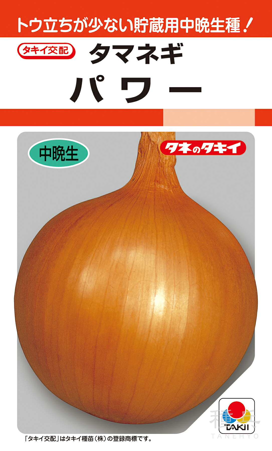 中晩生種 玉ねぎ 種 『力強さ』 ATA024 タキイ種苗