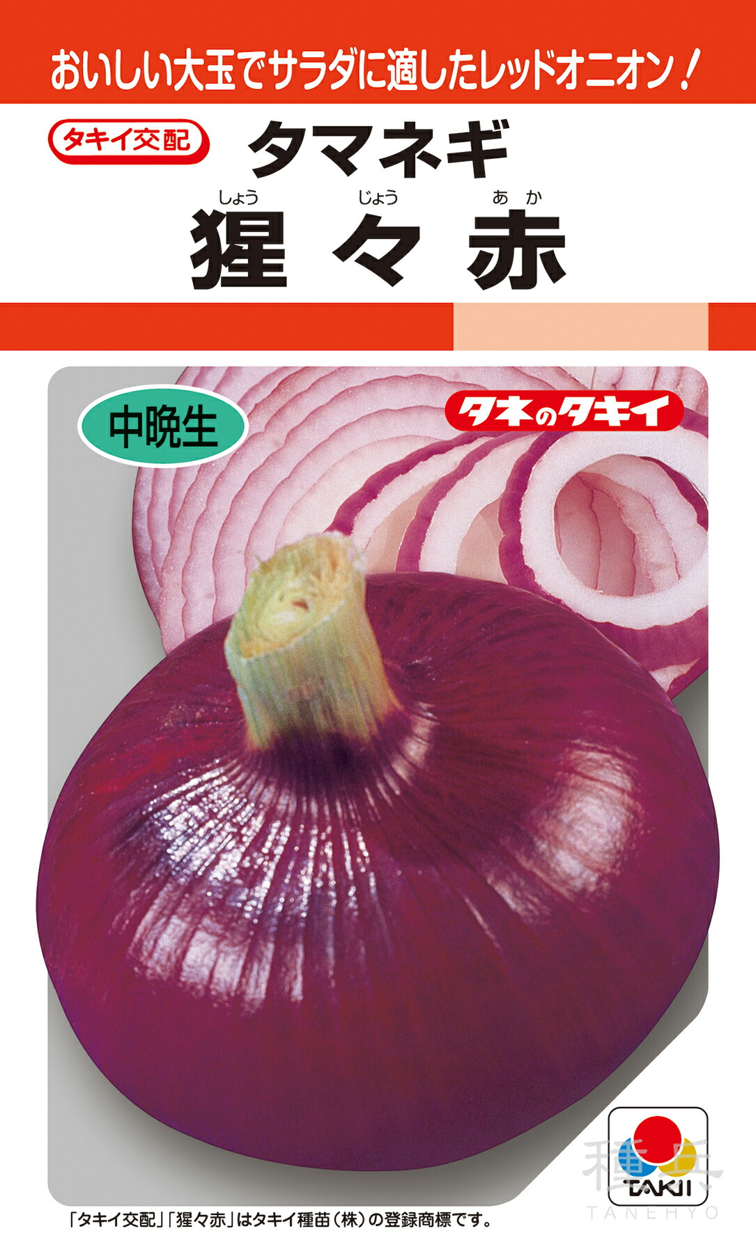 楽天市場】極早生赤タマネギ 種 『レッドアロー』 カネコ種苗 : 種兵
