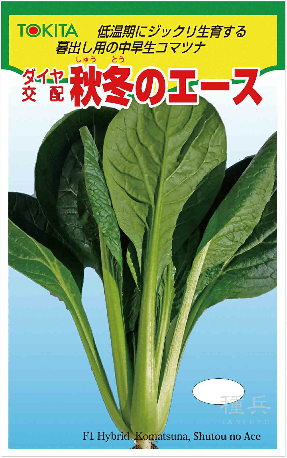楽天市場】トキタ種苗 コマツナ こまつな 小松菜 冬の豪速球 M4万粒