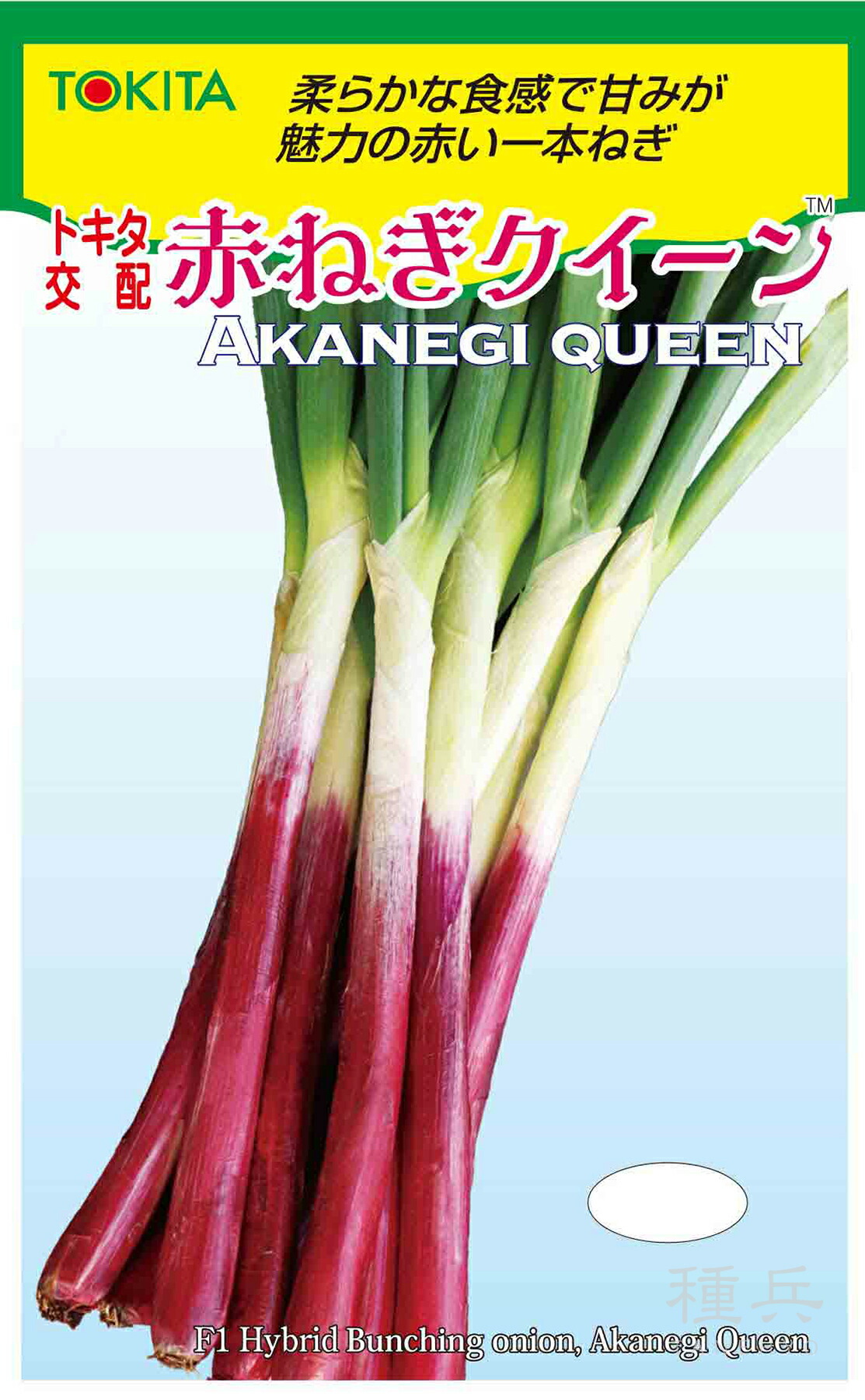 楽天市場】【大人気品種・在庫限り】野菜種子 ネギ「たいら一本赤葱