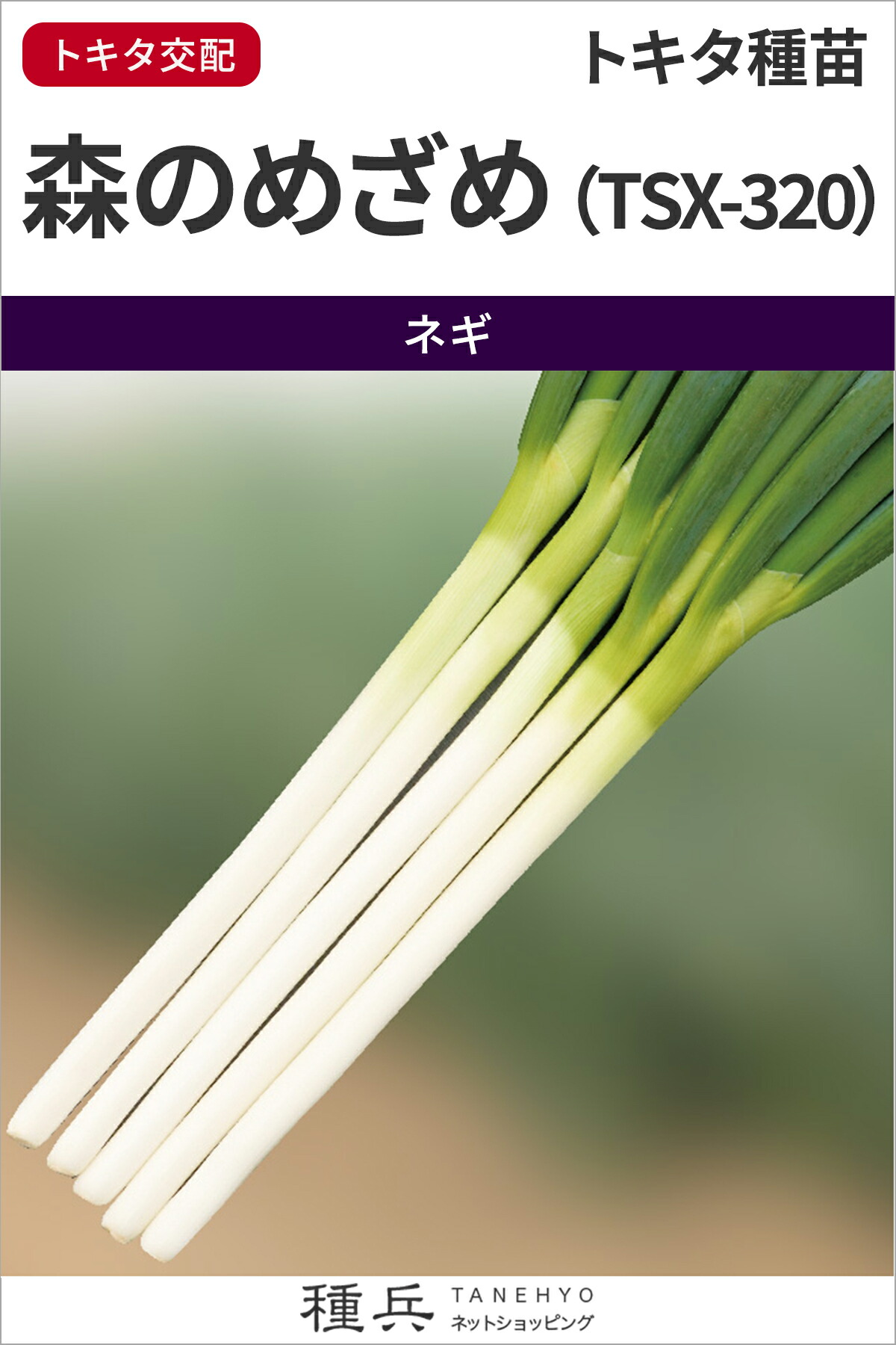 楽天市場】根深ネギ 種 『冬月の雫』 トキタ種苗 : 種兵ネットショッピング