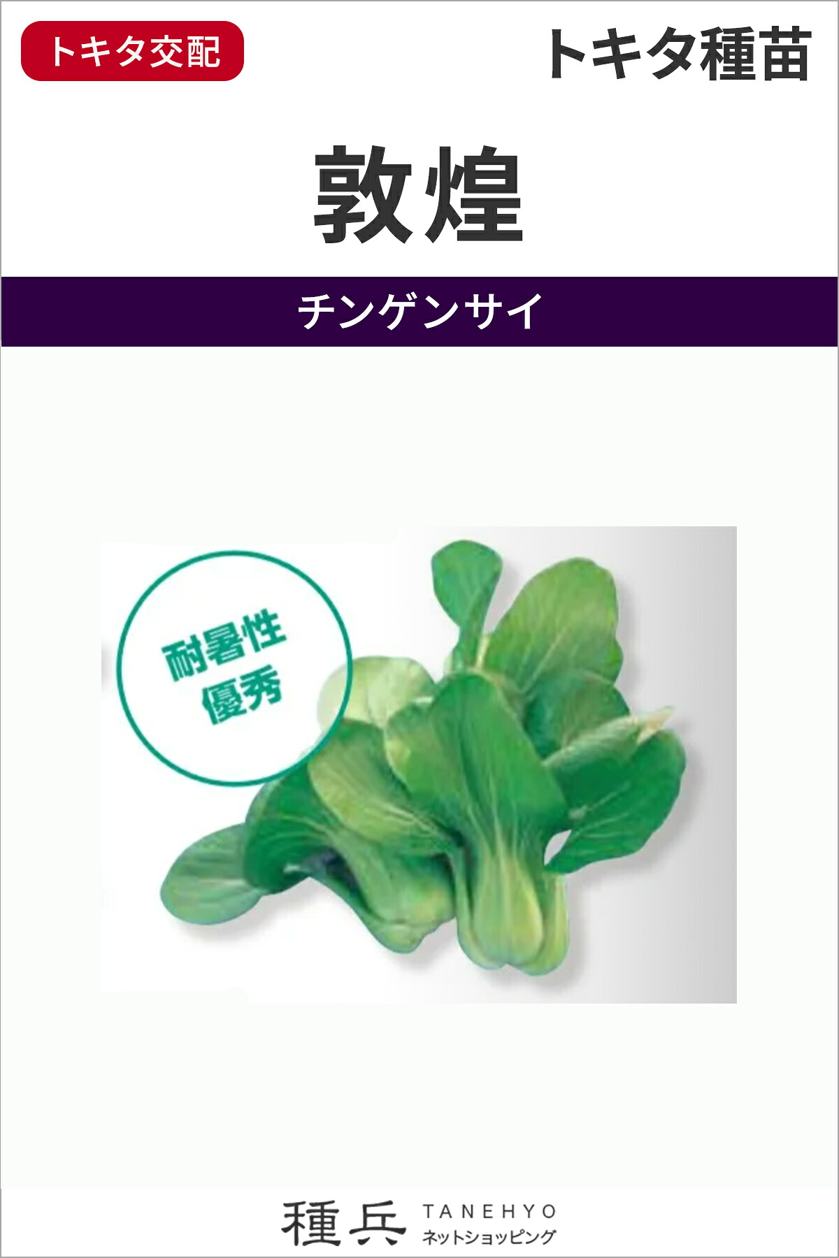 チンゲンサイ 種 『敦煌』 トキタ種苗