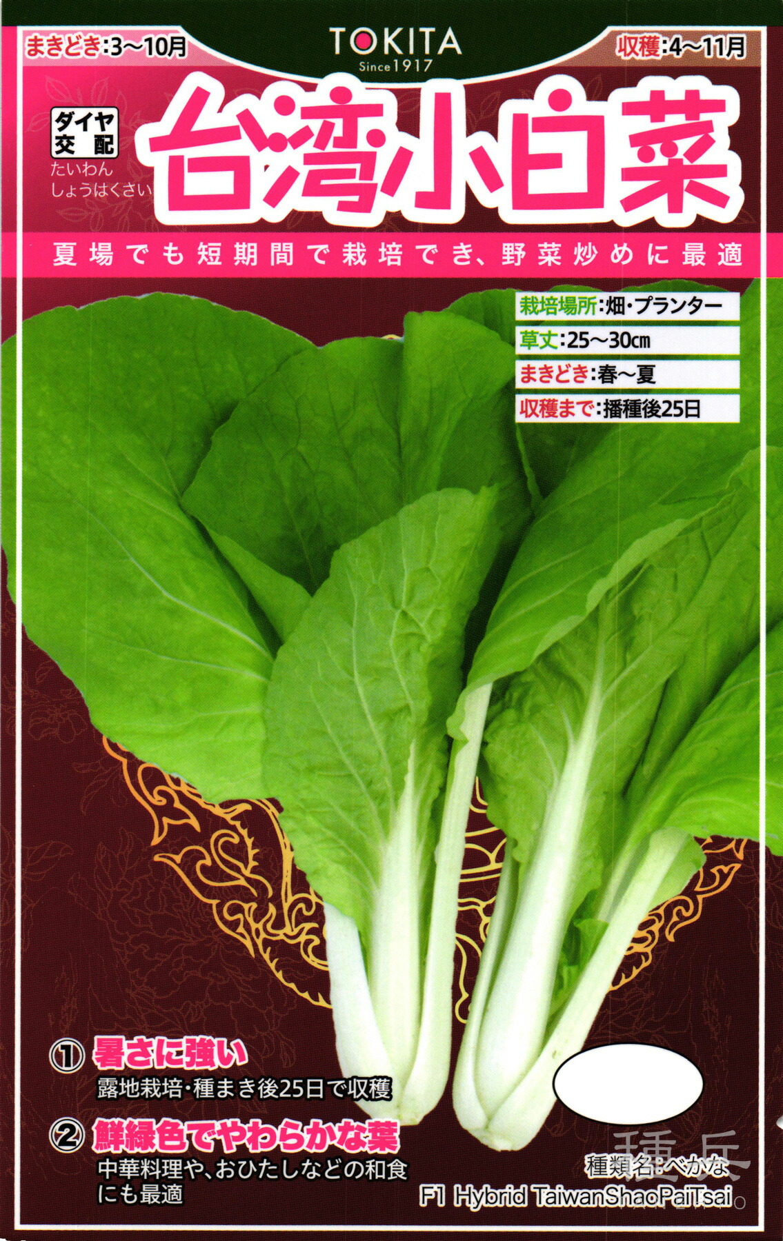 白菜 Amazon | サカタのタネ 実咲野菜2621 サラダミニ白菜 タイニー