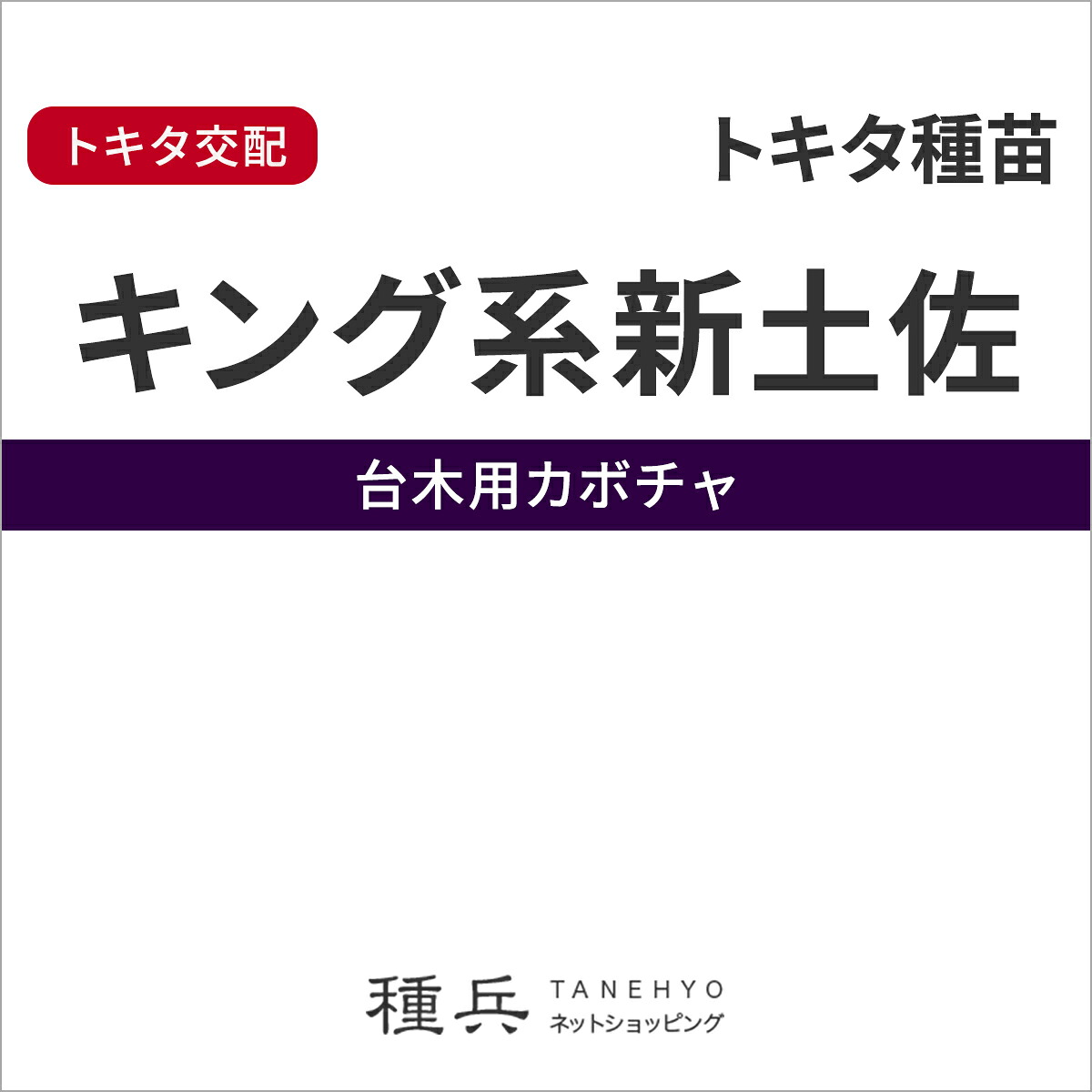 台木カボチャ 種 『キング系新土佐』 トキタ種苗