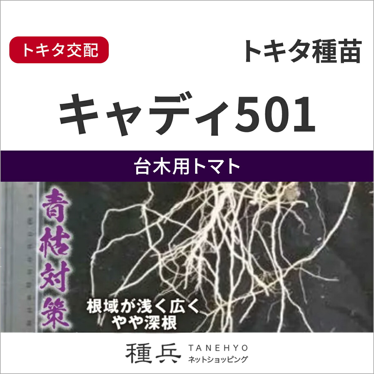 台木用トマト 種 『キャディ501』 トキタ種苗｜種兵ネットショッピング
