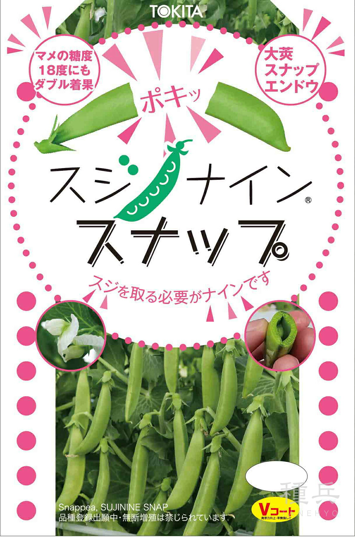 スナップエンドウ 種 『スジナインスナップ』  トキタ種苗