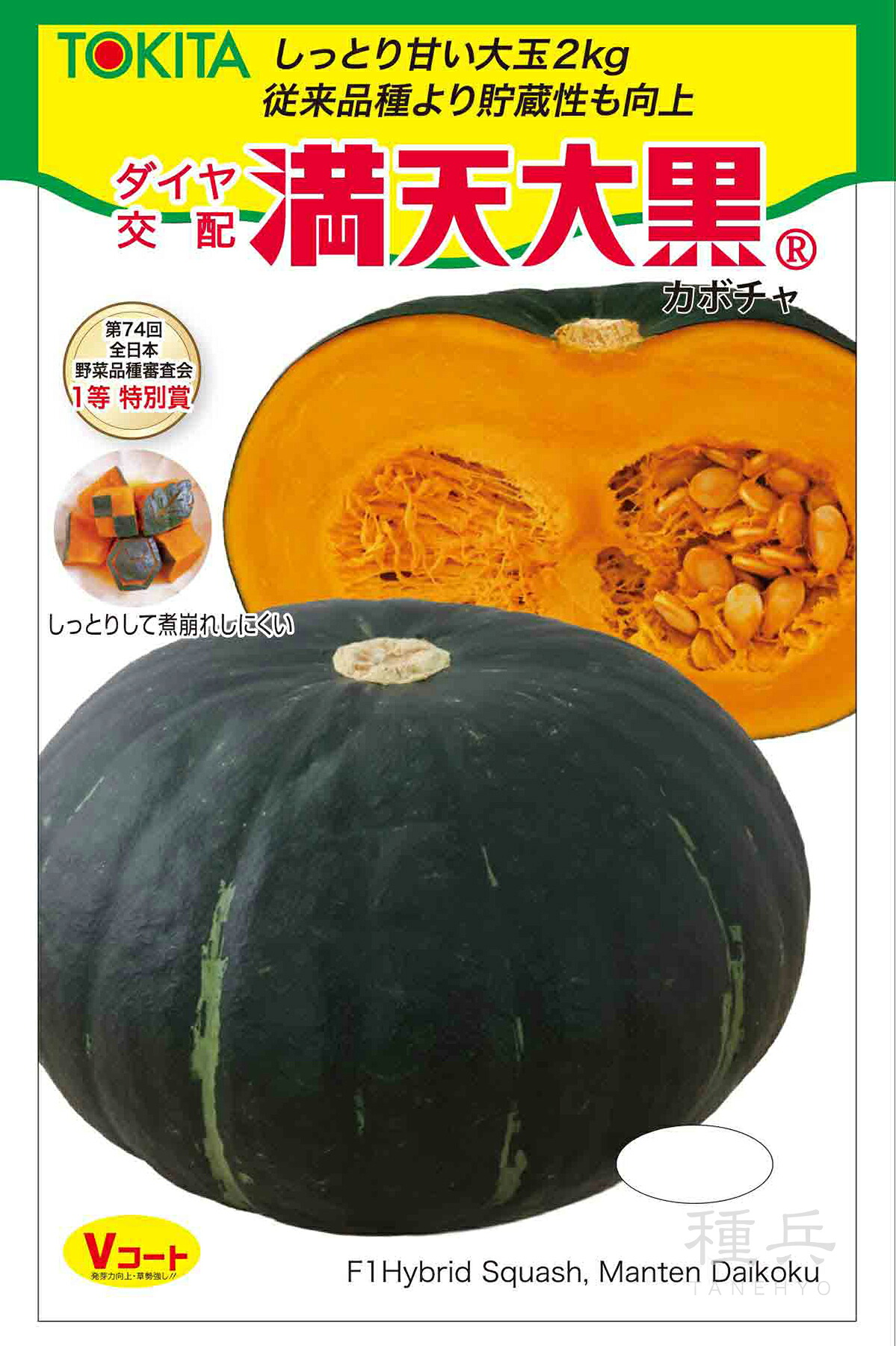 栗カボチャ 種 『満天大黒』 トキタ種苗
