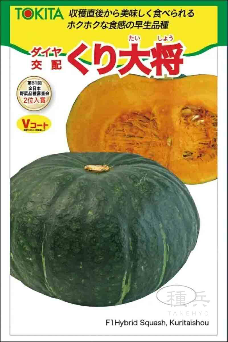 楽天市場】ウルトラ万次郎かぼちゃ苗＆受粉樹セット : 千草園芸