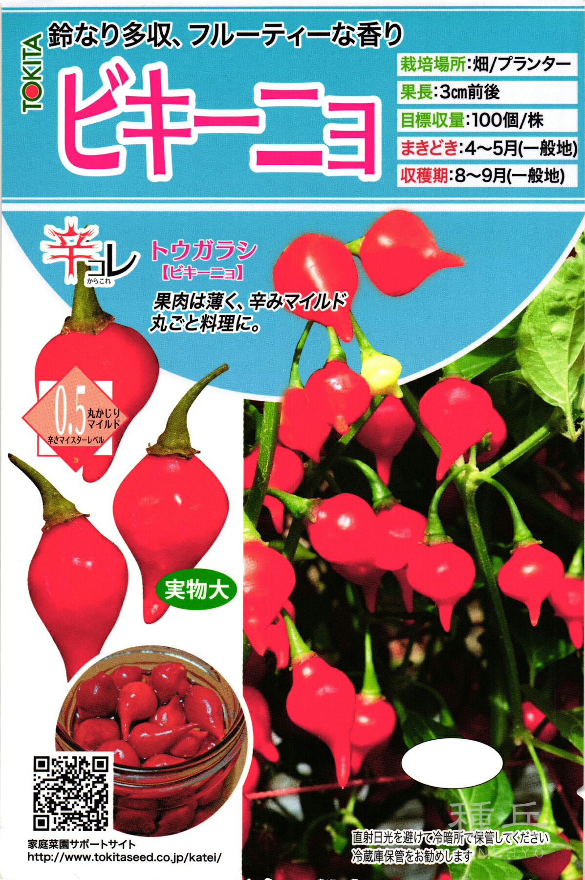 トウガラシ ビキーニョ レッド種子 3g入り（約1000粒） トウガラシ ビキーニョ レッド種子 3g入り（約1000粒） トウガラシ