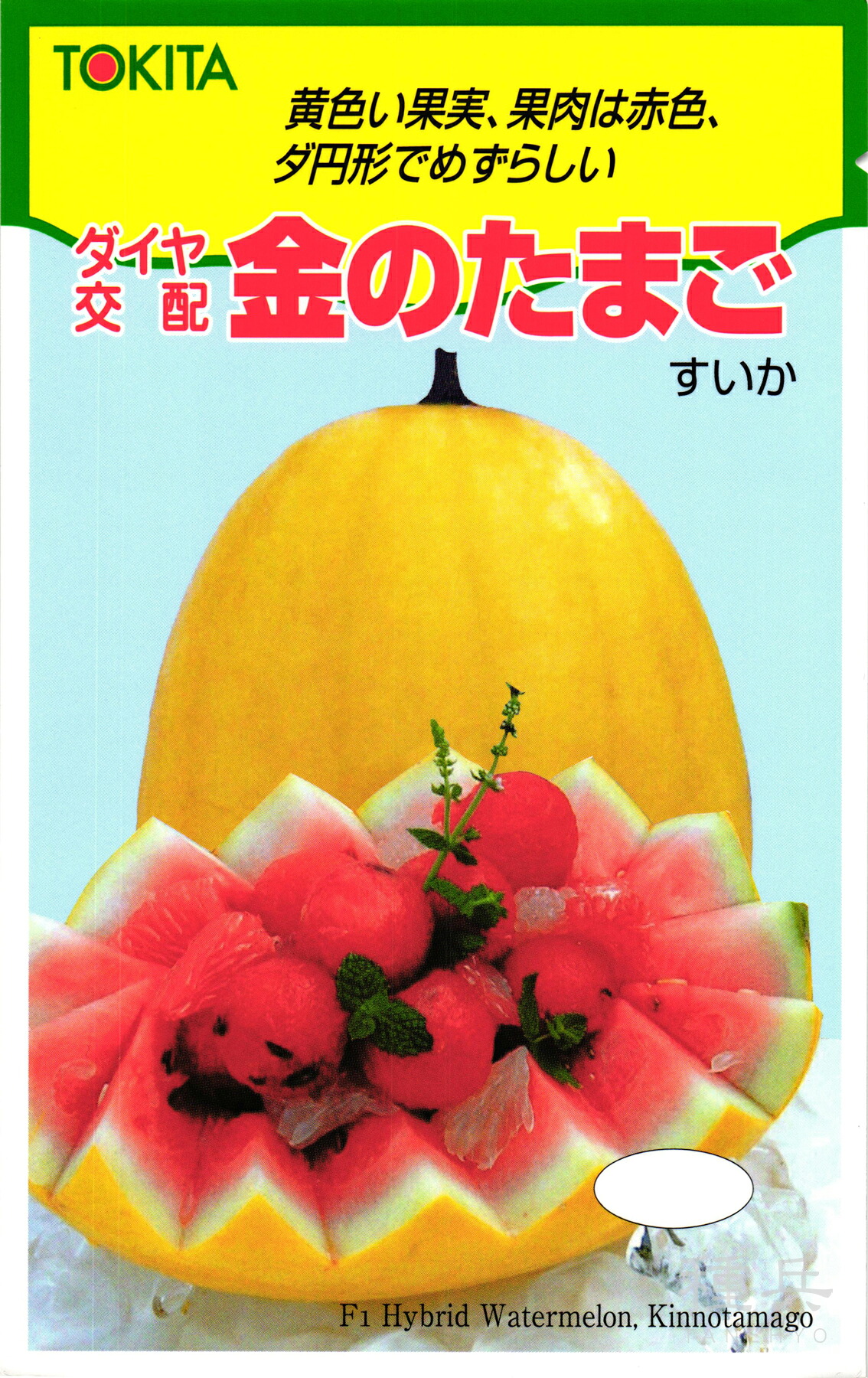楕円黄皮小玉スイカ 種 『金のたまご』 トキタ種苗