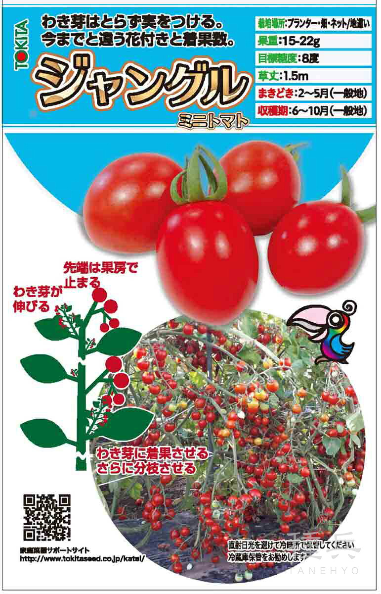 ミニトマト 種 『ジャングルトマト』 トキタ種苗