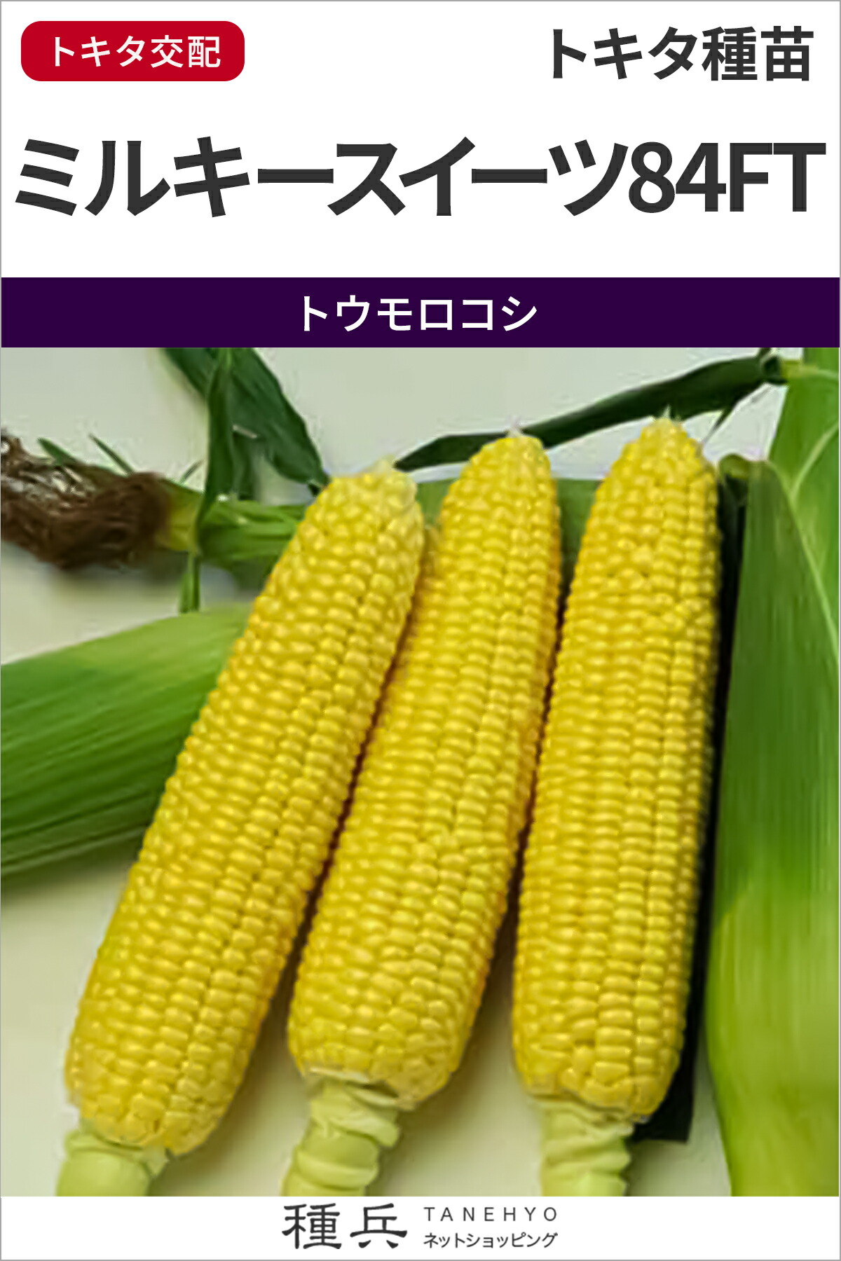 楽天市場】スイートコーン 種 『ミルキーシュガー85』 トキタ種苗 : 種