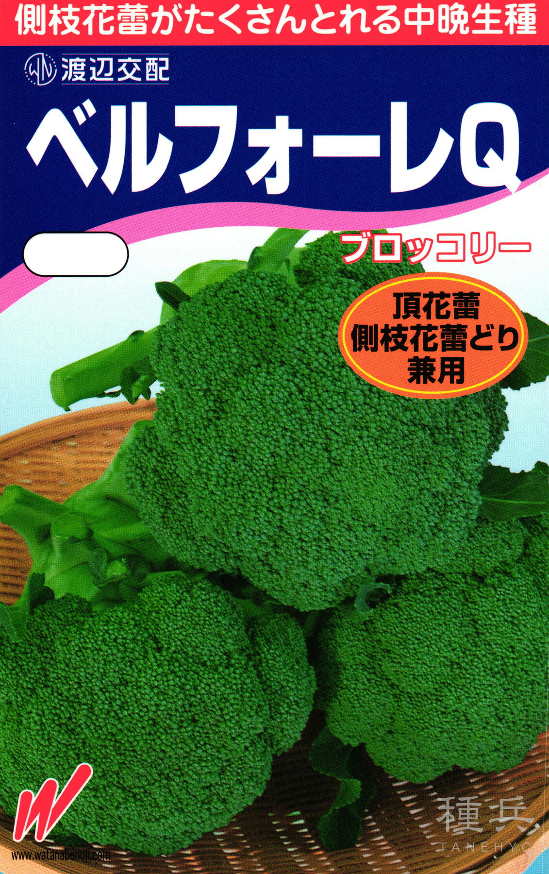 ブロッコリ 種 『ベルフォーレＱ』  渡辺農事