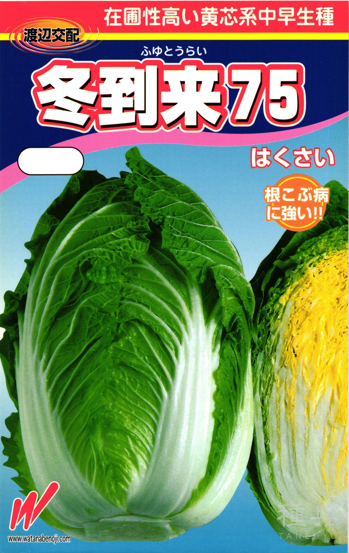 黄芯秋冬どりハクサイ 種 『冬御出なされる75』  渡辺農事