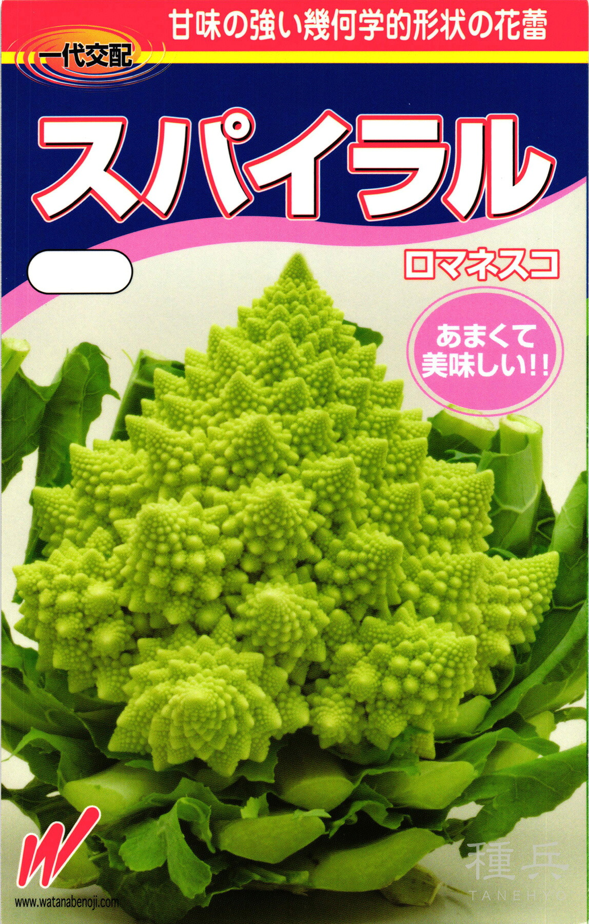 ロマネスコ 種 『渦巻き』  渡辺農事