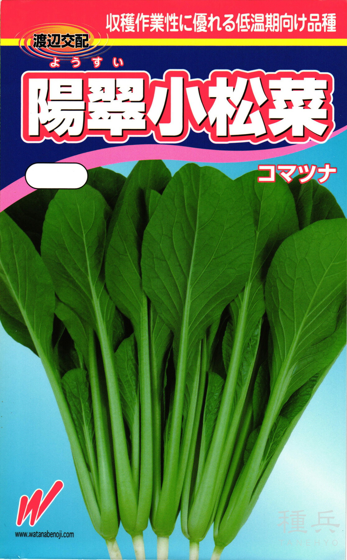 コマツナ 種 『陽翠（ようすい）』 渡辺農事
