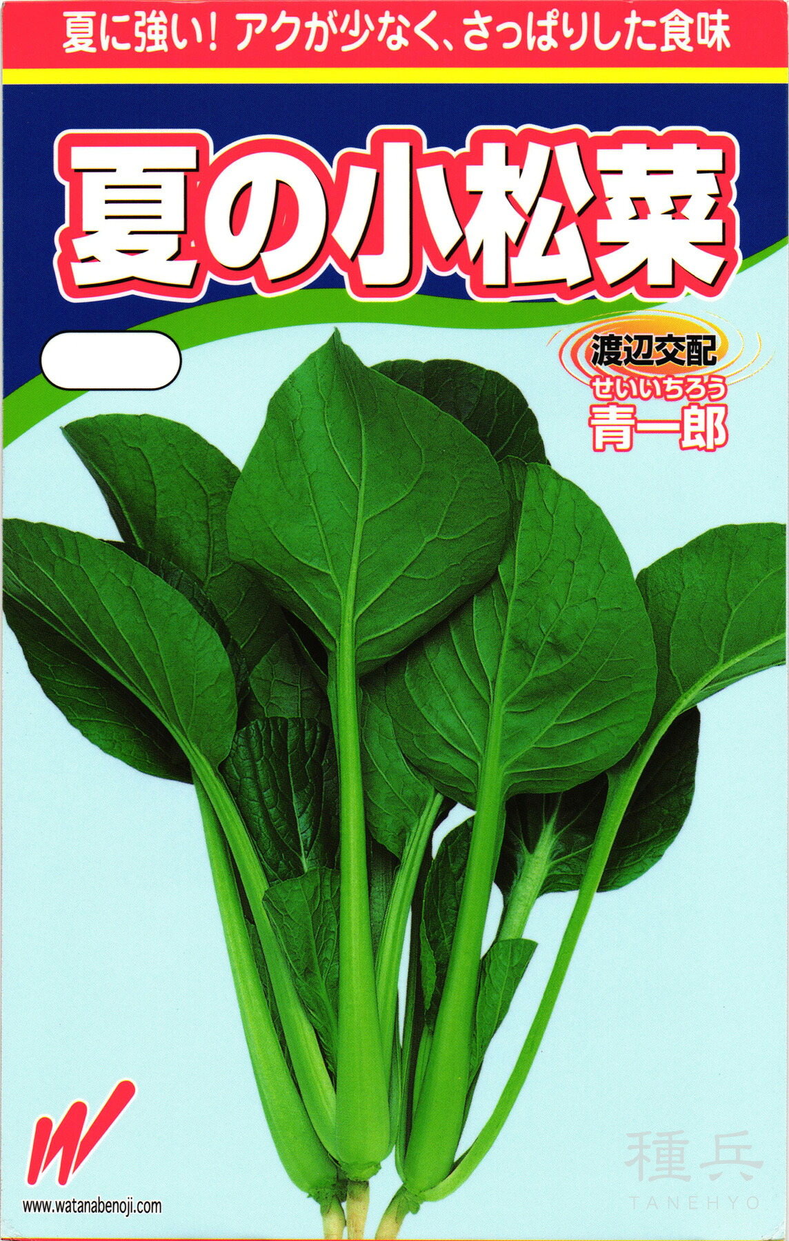 コマツナ 種 『夏の小松菜・青一郎(せいいちろう)』 渡辺農事