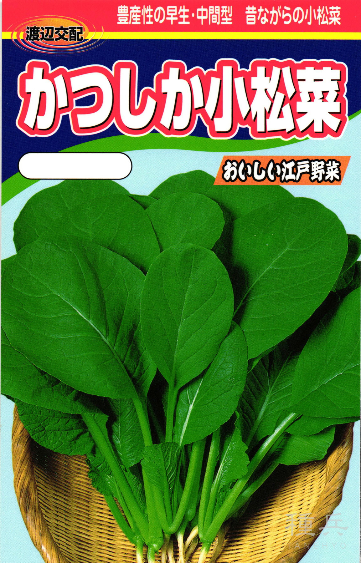 コマツナ 種 『かつしか』  渡辺農事