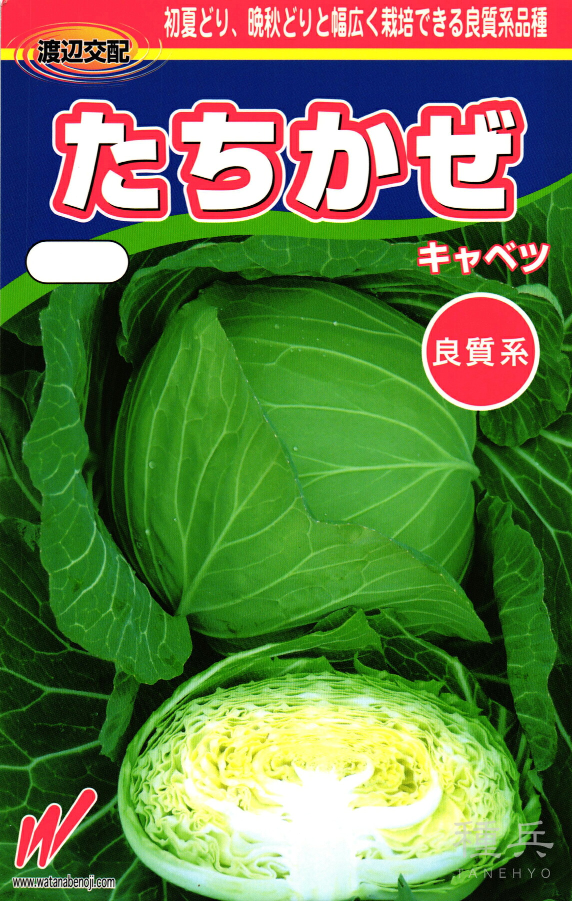 初夏・晩秋どりキャベツ 種 『たちかぜ』 渡辺農事