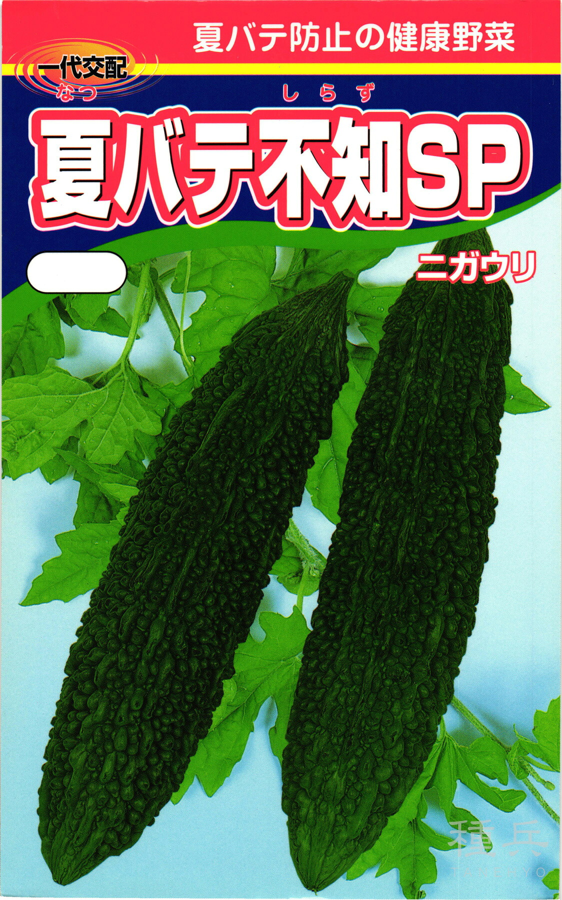 ゴーヤ 種 『夏バテ知らないことSP』  渡辺農事