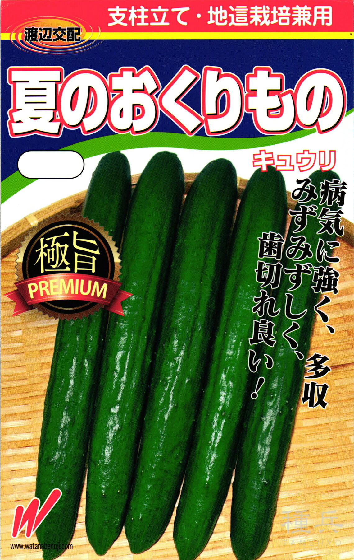 キュウリ 種 『夏のおくりもの』 渡辺農事 6,890円