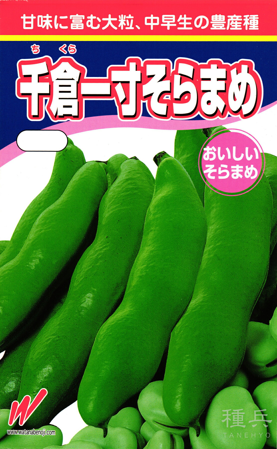 楽天市場】千倉一寸そらまめ 渡辺農事のそら豆品種です。種の