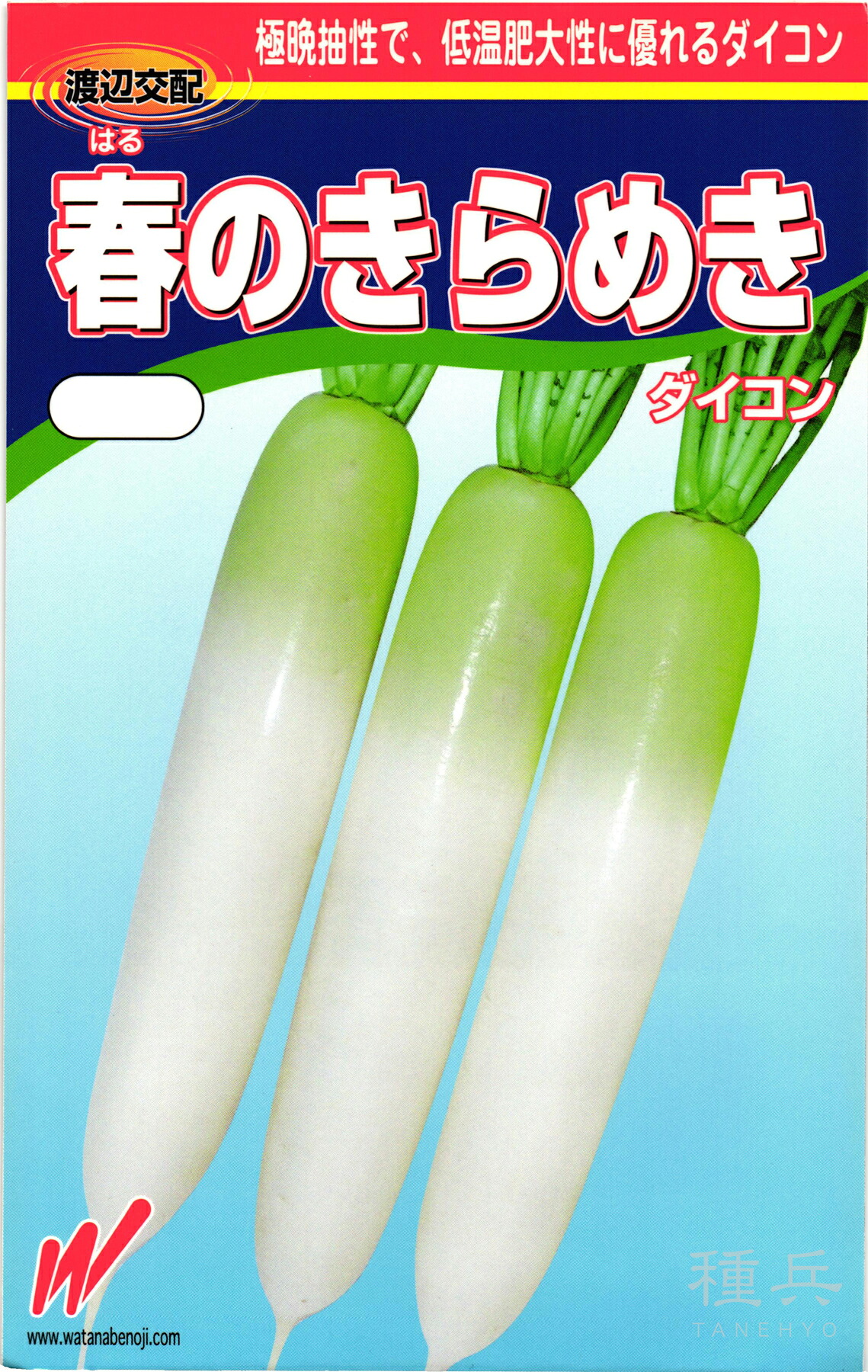 春どり清白 種 『春のきらめき』  渡辺農事
