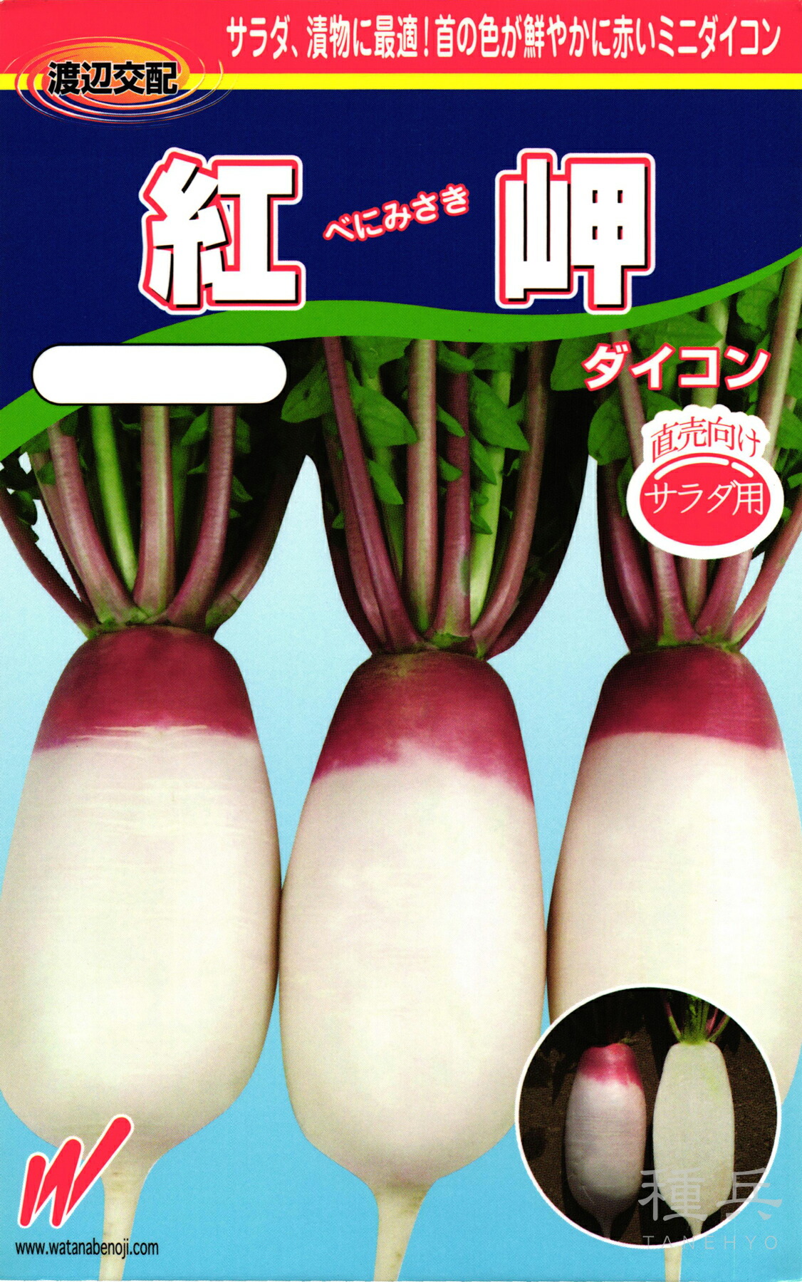 ミニ清白 種 『紅岬（べにみさき）』  渡辺農事