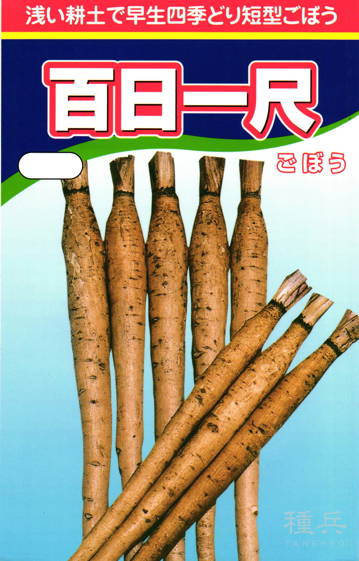 短根牛蒡 種 『百日一尺』  渡辺農事
