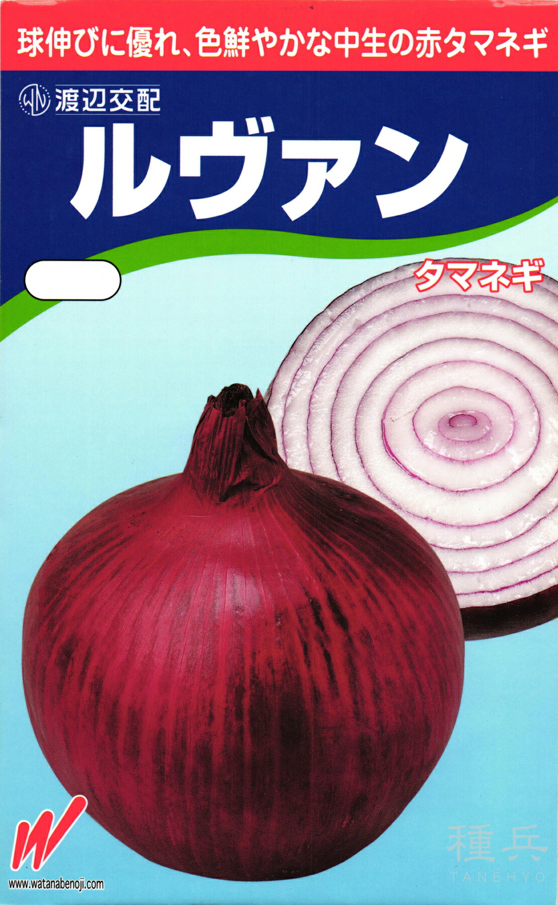楽天市場】赤玉ねぎ 種 『猩々赤』 ATA041 タキイ種苗 : 種兵ネット