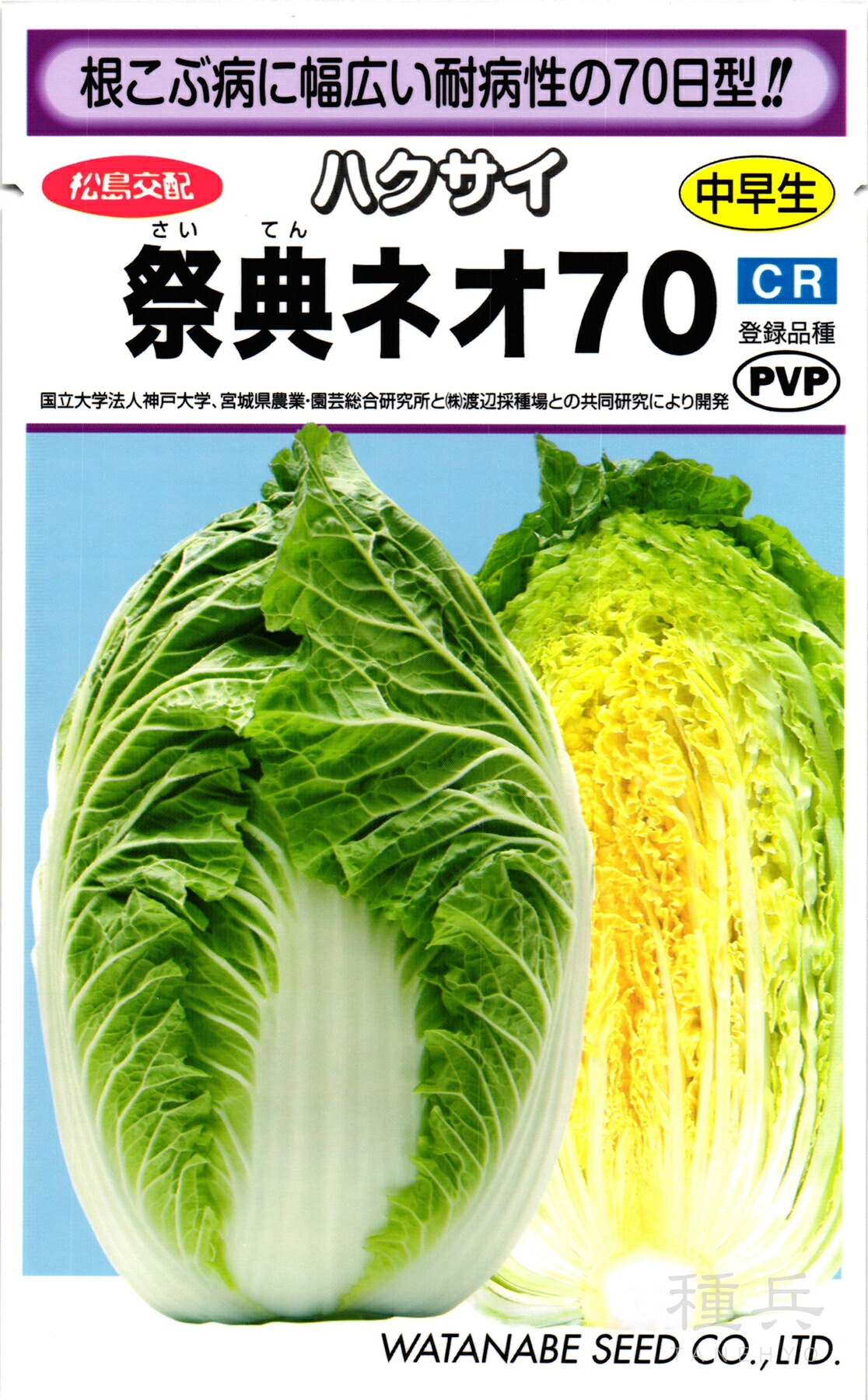 黄芯系ハクサイ 種 『祭典ネオ70』 渡辺採種場|種兵ネットショッピング