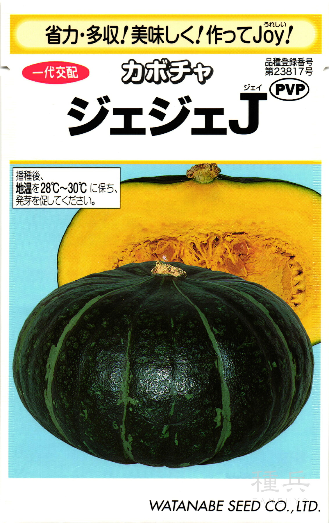 栗カボチャ 種 『ジェジェJ』 渡辺採種場|種兵ネットショッピング