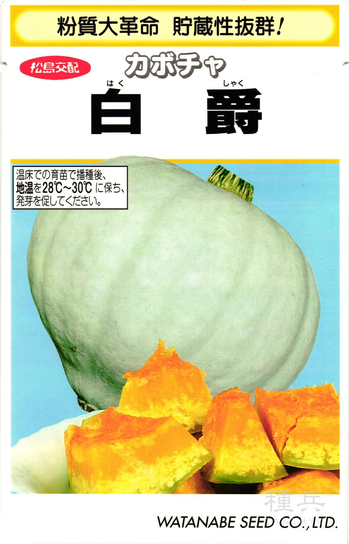 白皮カボチャ 種 『白爵』 渡辺採種場|種兵ネットショッピング