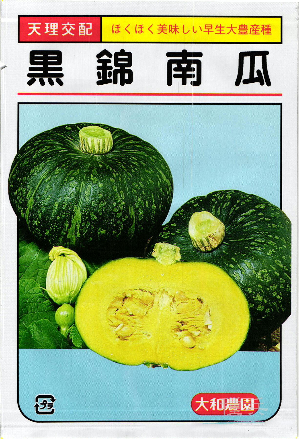 栗カボチャ 種 『黒錦』 大和農園