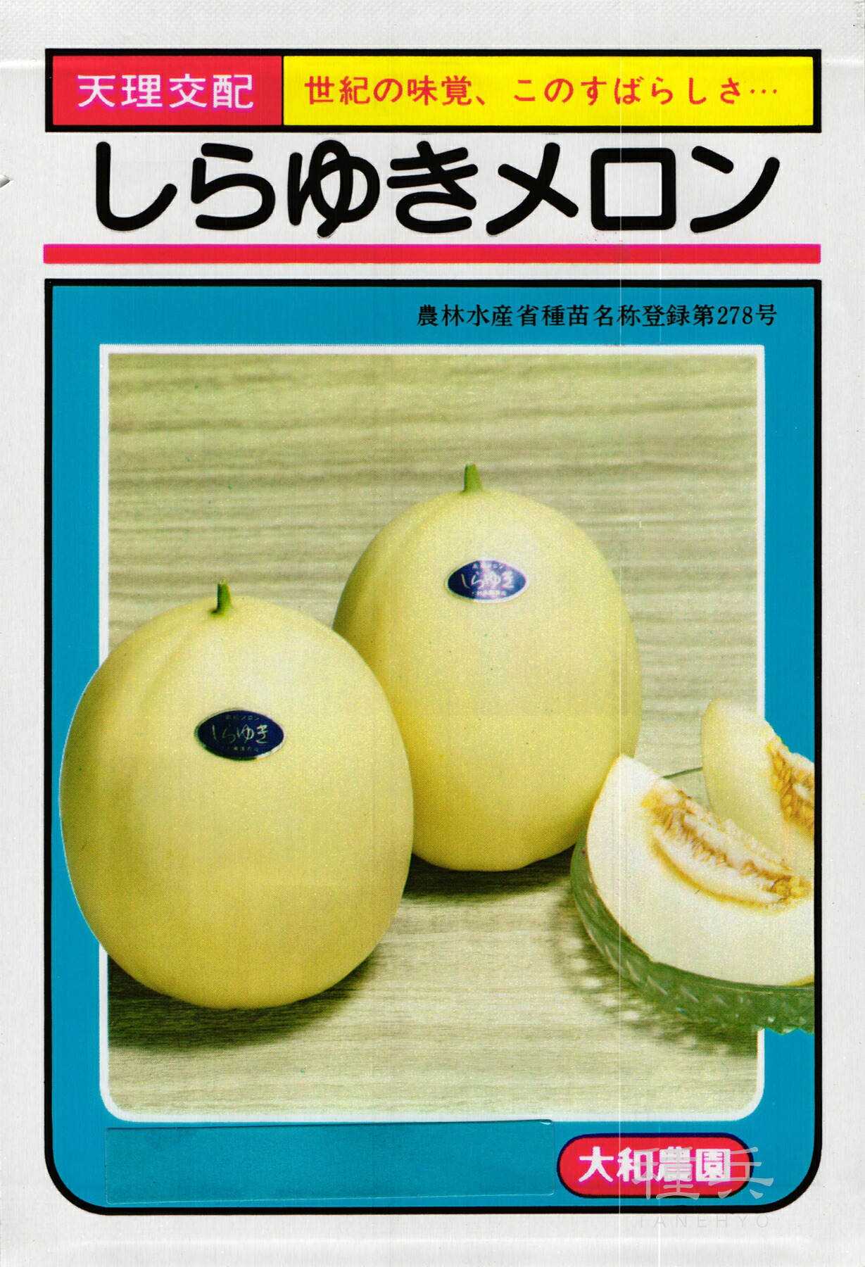 白皮ノーネットメロン 種 『しらゆき』 大和農園