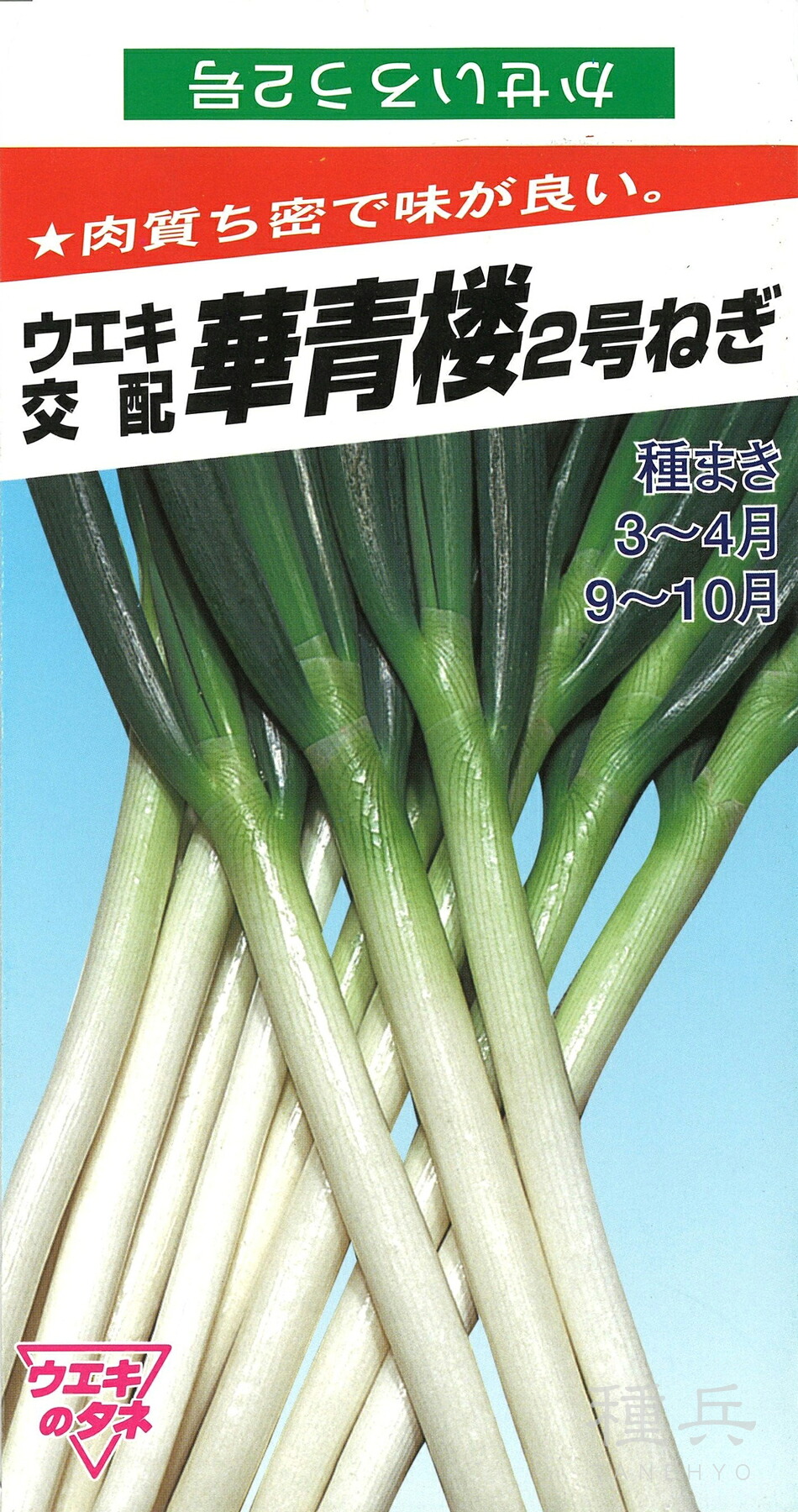 根深ネギ 種 『華浮き世茶屋2号』  横浜植木