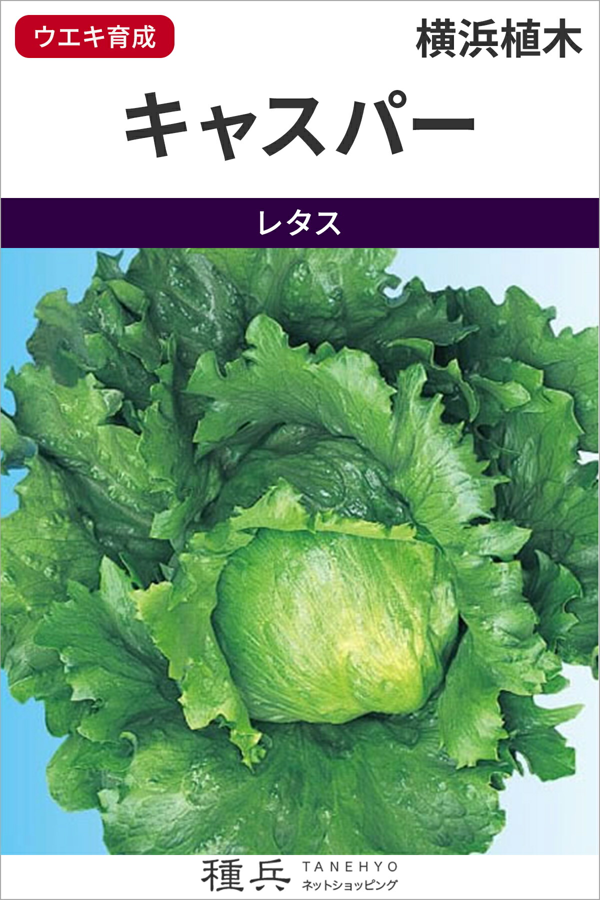 玉レタス 種 『キャスパー』 横浜植木｜種兵ネットショッピング