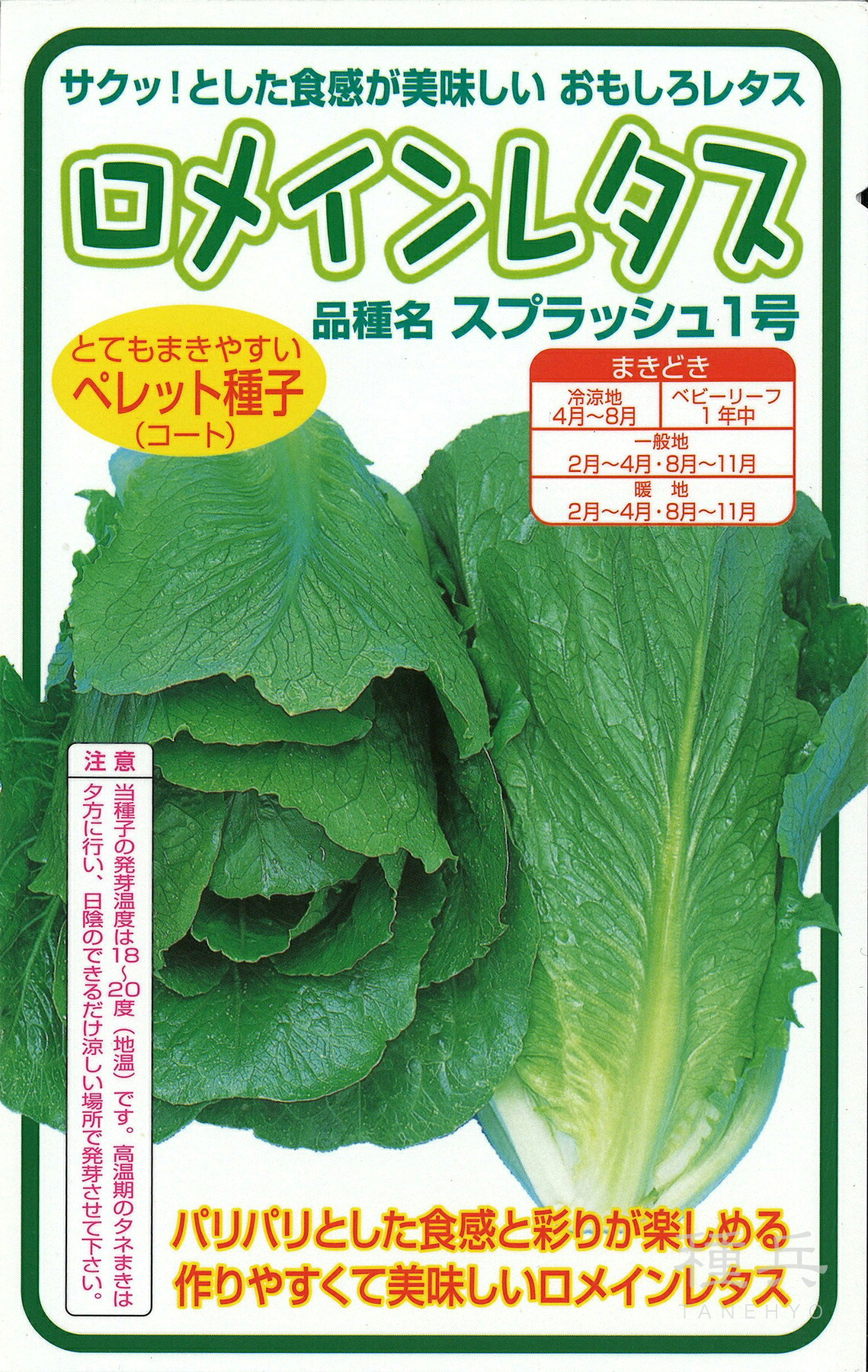 ロメイン（コス）萵苣 種 『スプラッシュ１号』  横浜植木