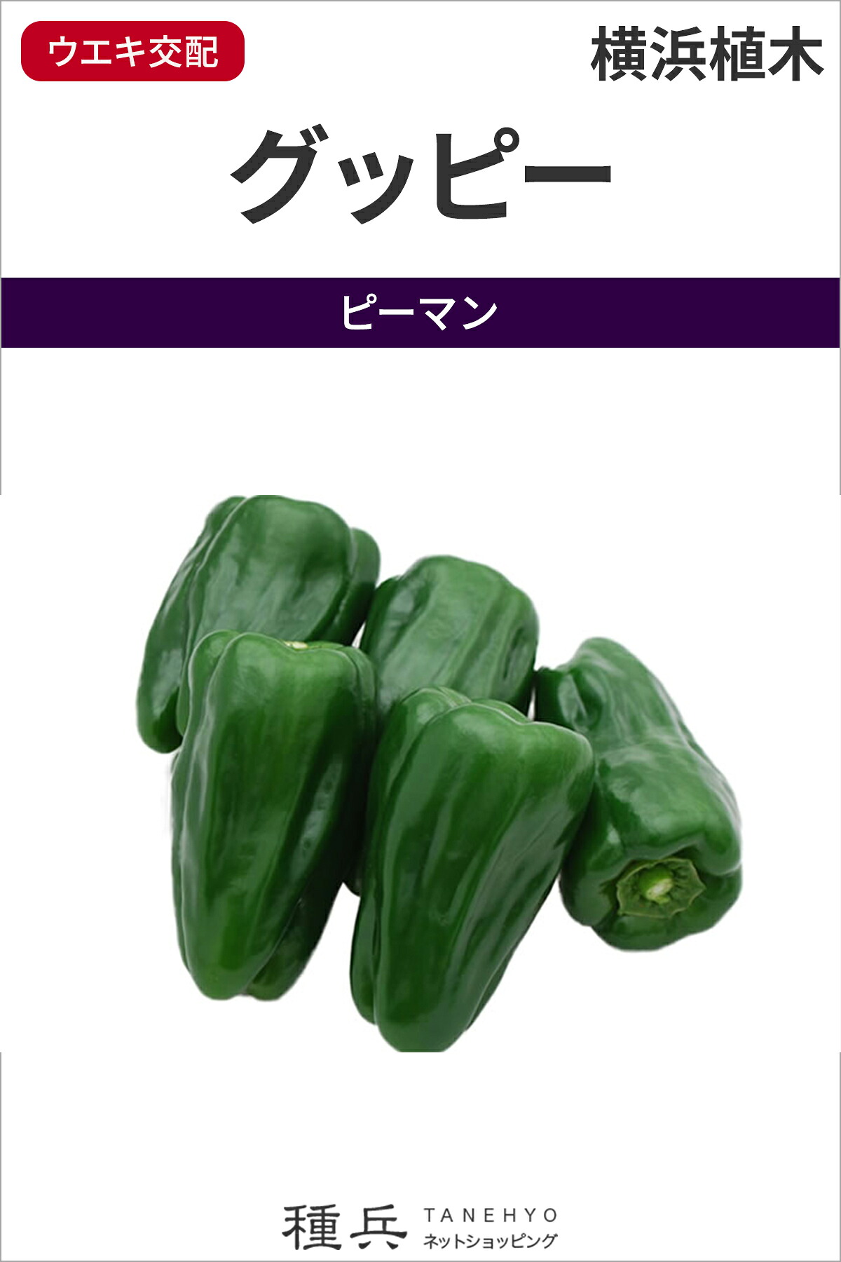ピーマン 種 『グッピー(UN-607)』 横浜植木｜種兵ネットショッピング