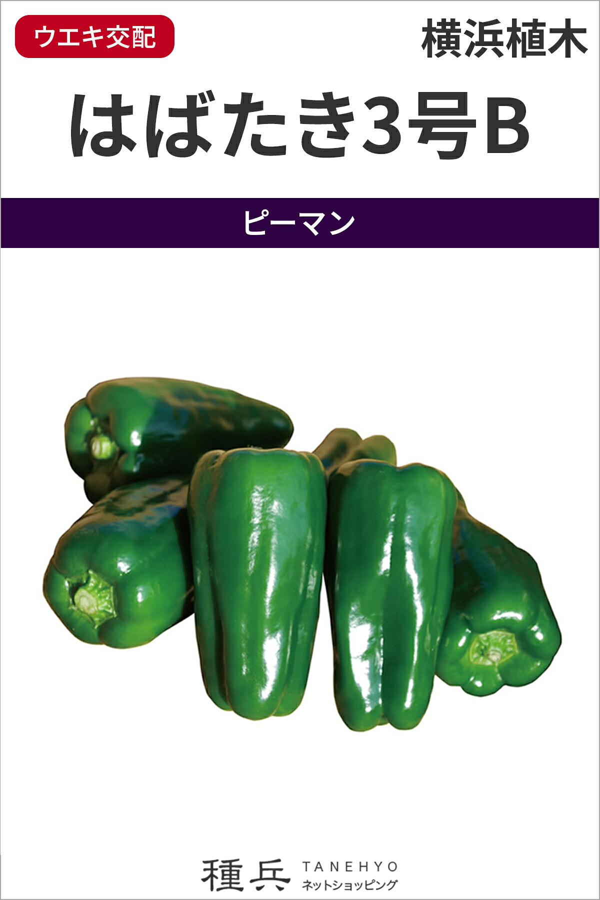 トウガラシ 種 『はばたき3号B』  横浜植木