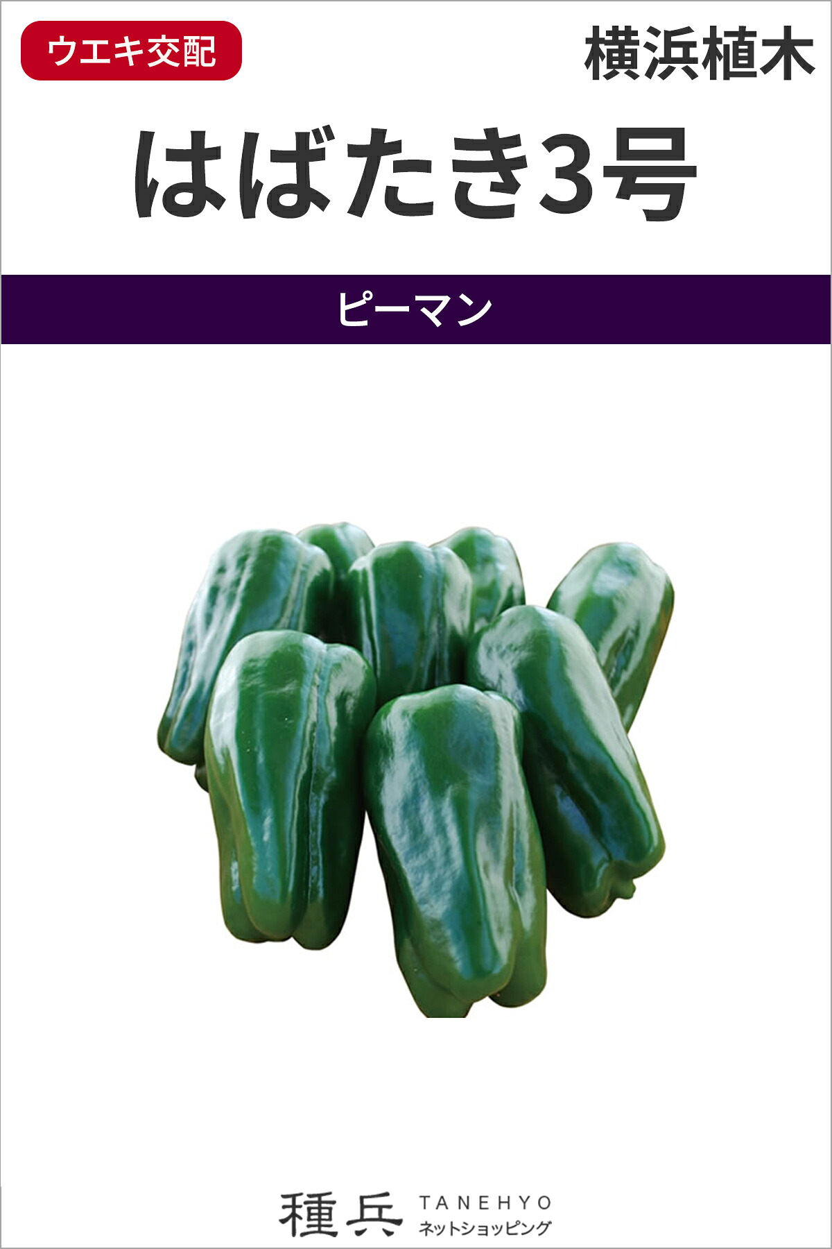 トウガラシ 種 『はばたき３号』  横浜植木