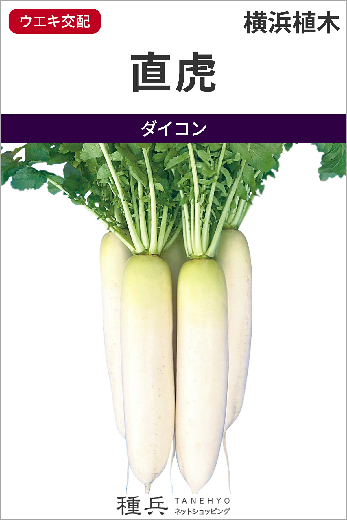 ダイコン 種 『直虎』 横浜植木
